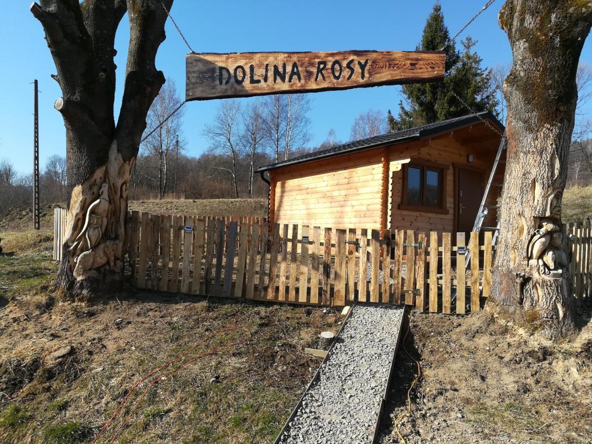 Вилла Dolina Rosy Устшики-Дольне Экстерьер фото